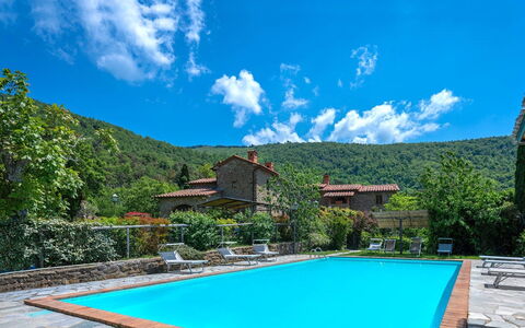 Colle Degli Ulivi - Cortona, Pool, Nature, Privacy: Acqua, Nube, Cielo, Pianta, Proprietà, Blu, Verde, Piscina, Azzurro, Albero