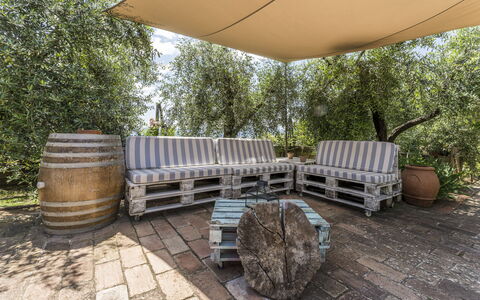 Casa Anita - Castellina In Chianti - Granaio, Tosc: Proprietà, Pianta, Tavolo, Canna, Legna, Albero, Mobili Da Esterno, Erba, Shade, Parete