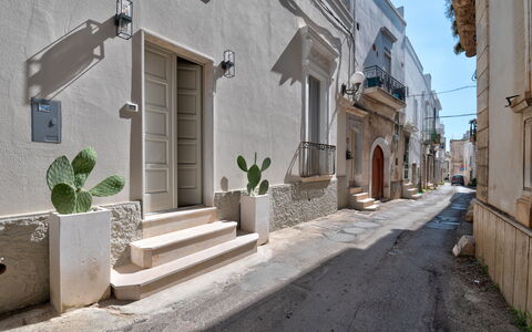 Dimora Cocchi: Costruzione, Pianta, Finestra, Azzurro, Cielo, Manto Stradale, Vaso Di Fiori, Casa, Quartiere, Pianta Della Casa