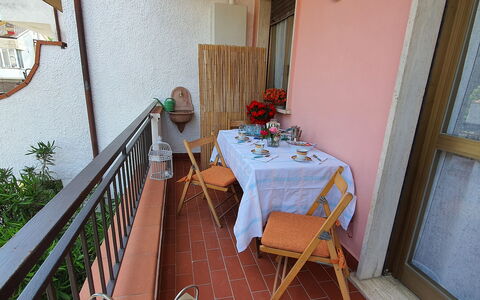 La Butterfly: Pianta, Tavolo, Proprietà, Mobilia, Costruzione, Pianta Della Casa, Legna, Interior Design, Vaso Di Fiori, Fiore