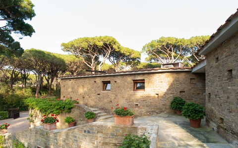Villa La Pineta: Pianta, Cielo, Proprietà, Costruzione, Finestra, Albero, Villetta, Casa, Vaso Di Fiori, Quartiere