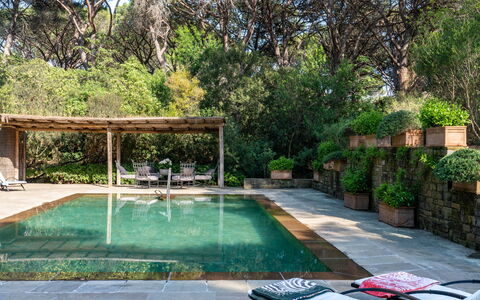 Villa La Pineta: Pianta, Acqua, Piscina, Albero, Erba, Tempo Libero, Zona Residenziale, Shade, Immobiliare, Paesaggio