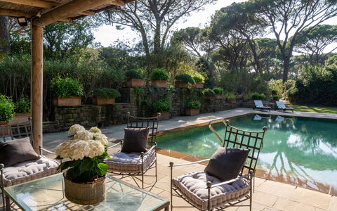 Villa La Pineta: Acqua, Pianta, Mobilia, Proprietà, Piscina, Albero, Mobili Da Esterno, Sedia, Vaso Di Fiori, Shade