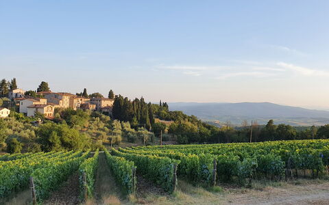 Il Nespolo Charming Apartment Fonterutoli - Siena,: Cielo, Pianta, Costruzione, Paesaggio Naturale, Nube, Albero, Paesaggio, Orizzonte, Plain, Agricoltura