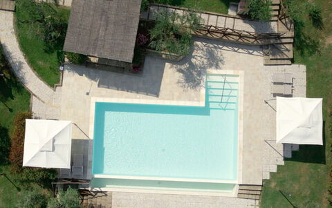 Villa Le Ripe - Gambassi Terme, Toscana: Pianta, Verde, Natura, Foglia, Acqua, Botanica, Lotto, Urban Design, Vegetazione, Pendenza
