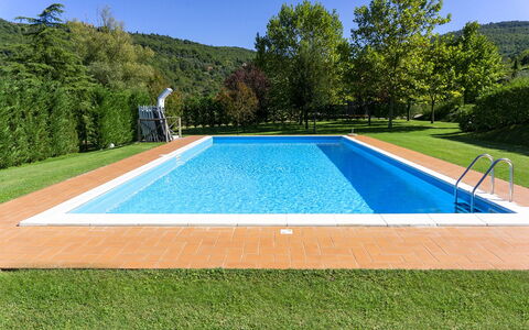 Villa Niccone: Pianta, Cielo, Verde, Natura, Azzurro, Rettangolo, Piscina, Albero, Costruzione, Shade