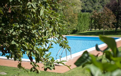 Villa Niccone: Acqua, Pianta, Comunita 'Impianto, Verde, Shade, Piscina, Vegetazione, Mobili Da Esterno, Corpo D'Acqua, Erba