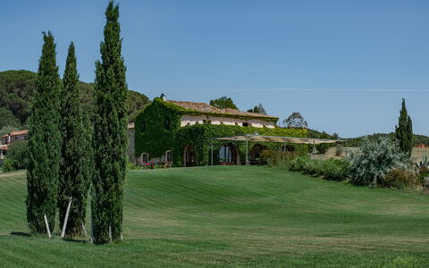 Villa Bagnoli: Cielo, Pianta, Paesaggio Naturale, Lotto, Erba, Larice, Albero, Sempreverde, Paesaggio, Graminacee