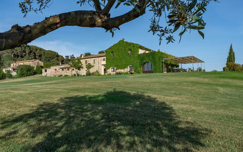 Villa Bagnoli: Cielo, Pianta, Proprietà, Albero, Paesaggio Naturale, Foglia, Costruzione, Lotto, Erba, Vegetazione