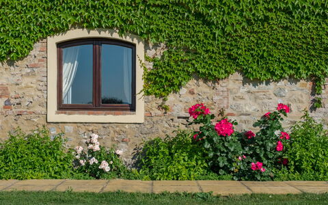 Villa Bagnoli: Fiore, Pianta, Finestra, Foglia, Botanica, Architettura, Vegetazione, Costruzione, Rettangolo, Erba