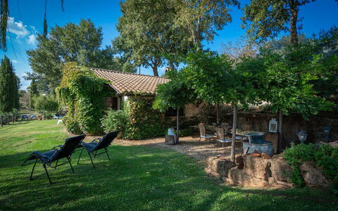 Casale Delle Papere, Pool, Romantic Holiday In Nep: Pianta, Cielo, Finestra, Costruzione, Paesaggio Naturale, Albero, Shade, Erba, Lotto, Casa