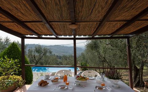 Casa Mimy: Tavolo, Mobilia, Tavola, Pianta, Albero, Shade, Interior Design, Sedia, Bicchiere Di Vino, Mobili Da Esterno