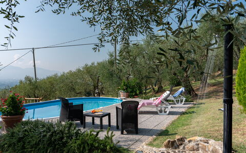 Casa Mimy: Pianta, Cielo, Acqua, Piscina, Shade, Albero, Mobili Da Esterno, Erba, Tempo Libero, Paesaggio