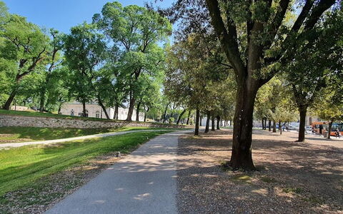 La Colonna: Pianta, Cielo, Albero, Manto Stradale, Shade, Paesaggio Naturale, Strada Transitabile, Erba, Paesaggio, Asfalto