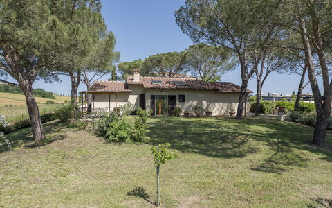 Anilde, Holiday Home with Pool, Wifi, Tuscany: Pianta, Cielo, Costruzione, Albero, Finestra, Paesaggio Naturale, Casa, Lotto, Erba, Villetta