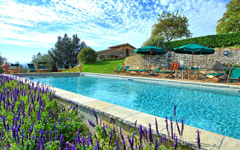 Villa Cona: Acqua, Nube, Cielo, Fiore, Pianta, Piscina, Natura, Azzurro, Albero, Paesaggio Naturale