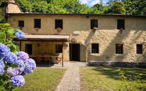 Molin Barletta, Private Pool, Nature - Marliana, T: Casa, Arbusto, Villetta, Estate, Area Rurale, Backyard, Giardino, Cortile, Hacienda, Prato