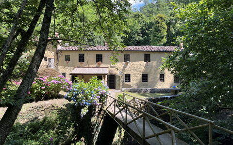 Molin Barletta, Private Pool, Nature - Marliana, T: Pianta, Finestra, Costruzione, Albero, Paesaggio Naturale, Casa, Immobiliare, Fiore, Villetta, Legna