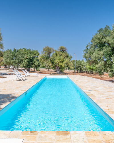 Casa Di Veronica: Acqua, Cielo, Piscina, Azzurro, Albero, Shade, Corpo D'Acqua, Pianta, Tempo Libero, Erba