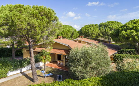 Argentario Giannella Apartment- Orbetello, Toscana: Pianta, Nube, Cielo, Comunita 'Impianto, Costruzione, Finestra, Albero, Paesaggio Naturale, Vegetazione, Lotto