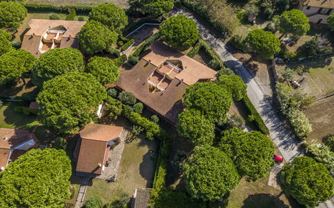 Argentario Giannella Apartment- Orbetello, Toscana: Pianta, Proprietà, Natura, Lotto, Vegetazione, Erba, Urban Design, Quartiere, Zona Residenziale, Arbusto
