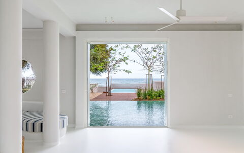 Villa Clementina: Acqua, Pianta, Legna, Shade, Interior Design, Pavimento, Pavimentazione, Proprietà Del Materiale, Rettangolo