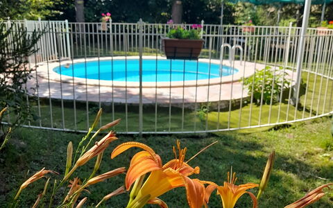 Podere Vallino: Pianta, Fiore, Acqua, Botanica, Natura, Albero, Recinzione, Erba, Shade, Piscina
