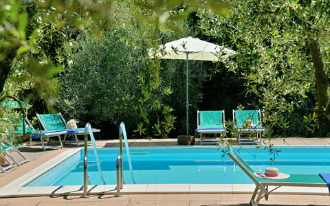 Torre Di Montelopio: Acqua, Pianta, Mobilia, Verde, Piscina, Natura, Albero, Shade, Mobili Da Esterno, Ombrello