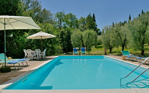 Torre Di Montelopio: Acqua, Piscina, Mobilia, Pianta, Cielo, Sedia, Natura, Azzurro, Albero, Mobili Da Esterno
