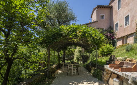 La Casa Dei Limoni, Camaiore, Pet Friendly, Wifi: Foglia, Vegetazione, Arbusto, Comunita 'Impianto, Area Rurale, Paesaggio, Lotto, Primavera, Giardino