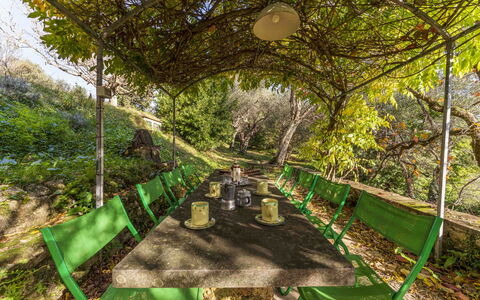 La Casa Dei Limoni, Camaiore, Pet Friendly, Wifi: Pianta, Comunita 'Impianto, Verde, Paesaggio Naturale, Impianto Terrestre, Albero, Erba, Shade, Woody Impianto, Tempo Libero