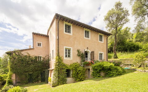 La Casa Dei Limoni, Camaiore, Pet Friendly, Wifi: Albero, Erba, Casa, Arbusto, Casa, Area Rurale, Villetta, Paesaggio, Lotto