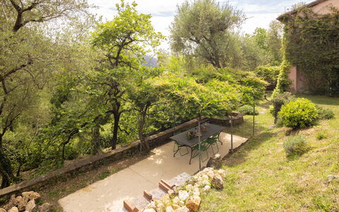 La Casa Dei Limoni, Camaiore, Pet Friendly, Wifi: Foglia, Vegetazione, Arbusto, Giardino, Comunita 'Impianto, Area Rurale, Primavera, Backyard, Landscaping