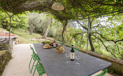 La Casa Dei Limoni, Camaiore, Pet Friendly, Wifi: Mobilia, Tavolo Esterno, Mobili Da Esterno, Giardino, Luce Del Sole, Shade, Sedia, Cucina & Sala Da Pranzo Tavolo, Backyard