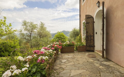 La Casa Dei Limoni, Camaiore, Pet Friendly, Wifi: Arbusto, Comunita 'Impianto, Giardino, Vaso Di Fiori, Pianta Della Casa, Flagstone