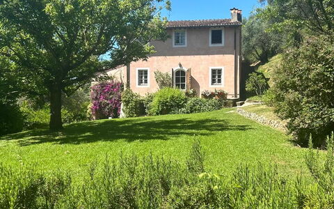 La Casa Dei Limoni, Camaiore, Pet Friendly, Wifi: Cielo, Pianta, Proprietà, Finestra, Costruzione, Paesaggio Naturale, Albero, Lotto, Erba, Casa