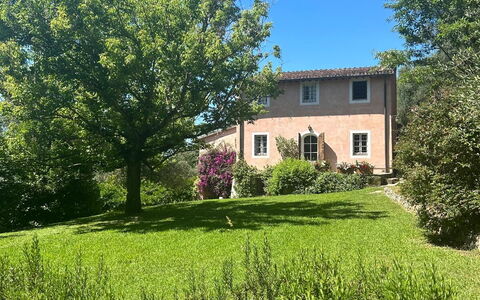 La Casa Dei Limoni, Camaiore, Pet Friendly, Wifi: Pianta, Cielo, Giorno, Proprietà, Finestra, Costruzione, Paesaggio Naturale, Albero, Vegetazione, Lotto