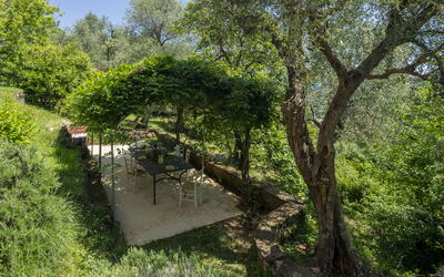 Casa vacanza La Casa dei Limoni, Camaiore, Pet Friendly, Wifi - Camaiore, Toscana, Italia
