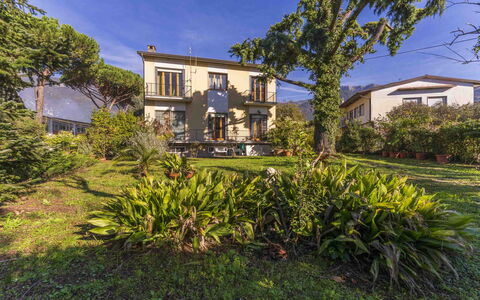 Casa Vacanza Mais - Camaiore, Toscana: Pianta, Costruzione, Cielo, Finestra, Comunita 'Impianto, Azzurro, Albero, Casa, Lotto, Arecales