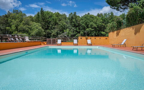 Tenuta De Paoli - Chianni, Pool, Wifi, Privacy, To: Acqua, Nube, Cielo, Piscina, Pianta, Costruzione, Azzurro, Albero, Shade, Materiale Composito