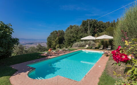 Villa Belvedere: Acqua, Pianta, Proprietà, Cielo, Piscina, Azzurro, Fiore, Ombrello, Albero, Sedia