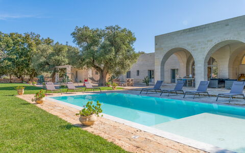 Tenuta Palù: Pianta, Acqua, Cielo, Costruzione, Piscina, Albero, Shade, Sedia, Erba, Tempo Libero