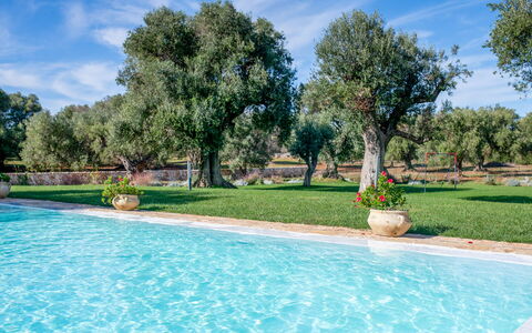 Tenuta Palù: Acqua, Cielo, Pianta, Nube, Albero, Botanica, Piscina, Paesaggio Naturale, Erba, Shade