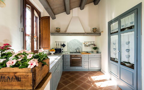 Casa Colore - Siracusa, Sicilia: Fiore, Cabinetry, Controsoffitto, Proprietà, Pianta, Finestra, Interior Design, Cucina Stufa, Cucina, Architettura