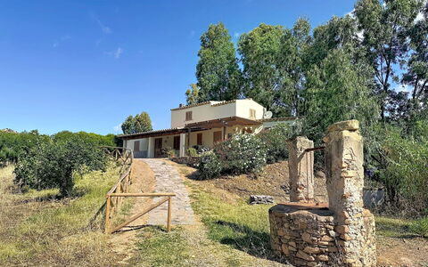 Eucalipto: Albero, Area Rurale, Lotto, Villetta, Estate, Agriturismo, Backyard, Hacienda, Villa