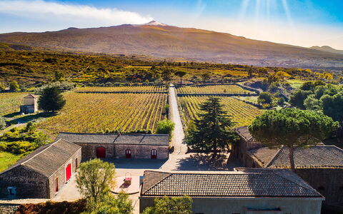 Dimora Vulcano - Castiglione Di Sicilia, Sicilia: Cielo, Proprietà, Pianta, Nube, Luce, Montagna, Natura, Lotto, Albero, Paesaggio Naturale