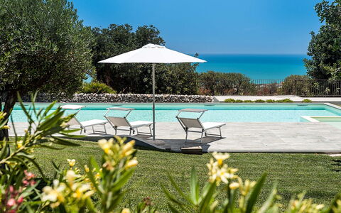 Isolina Bianca - Scicli, Sicilia: Acqua, Fiore, Pianta, Proprietà, Cielo, Botanica, Natura, Azzurro, Piscina, Albero