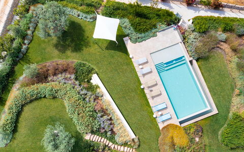 Splendida - Modica, Sicilia: Pianta, Proprietà, Verde, Botanica, Paesaggio Naturale, Vegetazione, Lotto, Urban Design, Erba, Biome