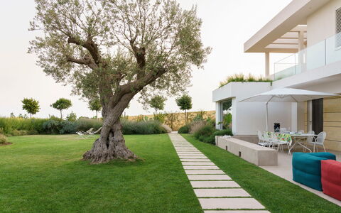 Splendida - Modica, Sicilia: Pianta, Cielo, Verde, Costruzione, Albero, Lotto, Shade, Urban Design, Erba, Casa
