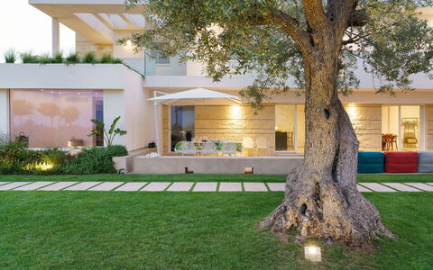 Splendida - Modica, Sicilia: Pianta, Proprietà, Albero, Costruzione, Lotto, Pavimentazione, Erba, Tempo Libero, Immobiliare, Arecales